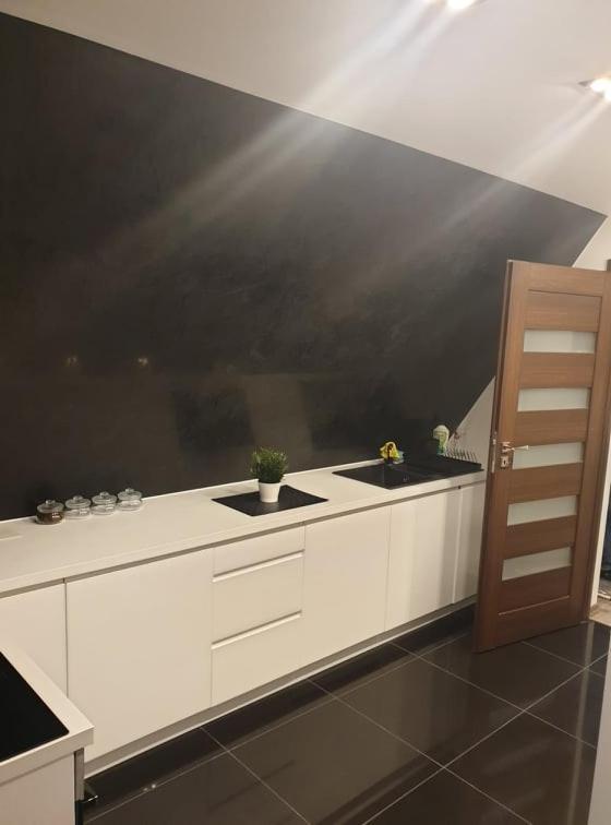 波罗宁Apartament Strych Na Polanie公寓 外观 照片